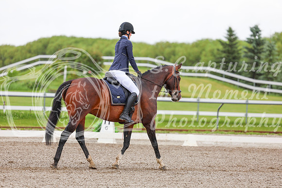 2025 - Dressage Festival - Sunday July 6th - 02132
