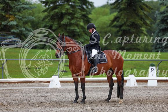 2025 - Dressage Festival - Sunday July 6th - 01079