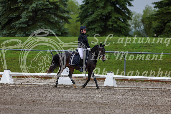 2025 - Dressage Festival - Sunday July 6th - 00035