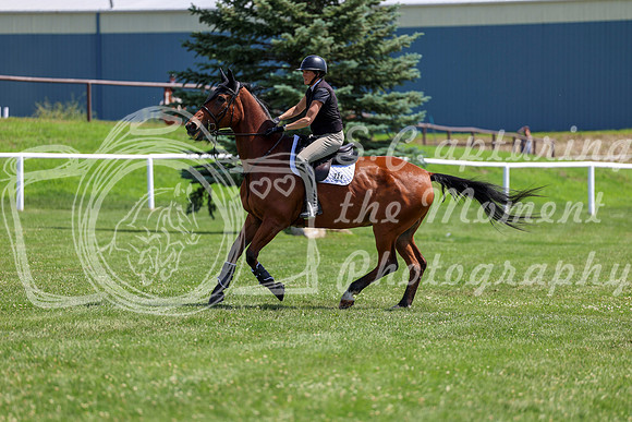 2025 - Shea - Teesdale - Thursday July 24th - 01449