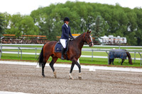 2025 - Dressage Festival - Sunday July 6th - 02119