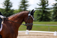 2025 - Dressage Festival - Saturday July 5th - 08462