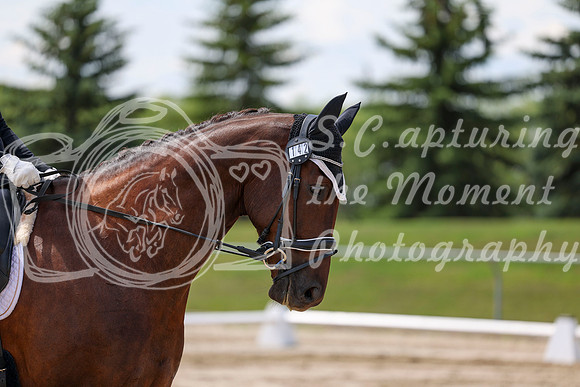 2025 - Dressage Festival - Saturday July 5th - 08462