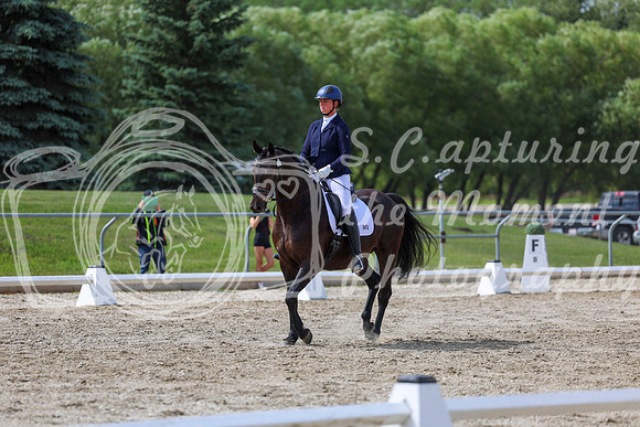 2025 - Dressage Festival - Saturday July 5th - 14788
