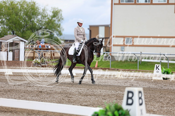 2025 - Dressage Festival - Sunday July 6th - 10441