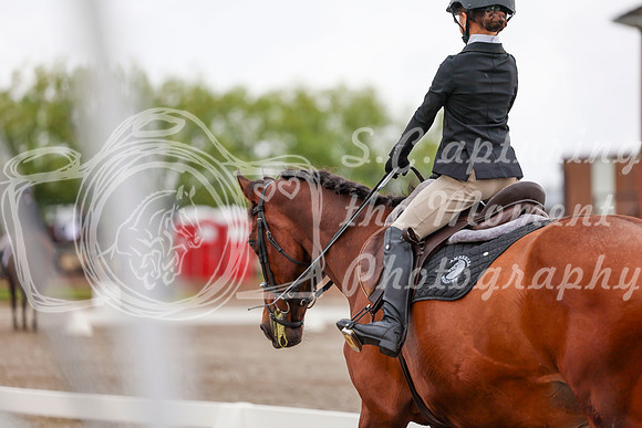 2025 - Dressage Festival - Sunday July 6th - 01798
