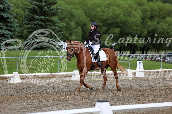 2025 - Dressage Festival - Sunday July 6th - 11294