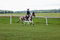 2025 - Shea - Teesdale - Friday July 25th - 04651