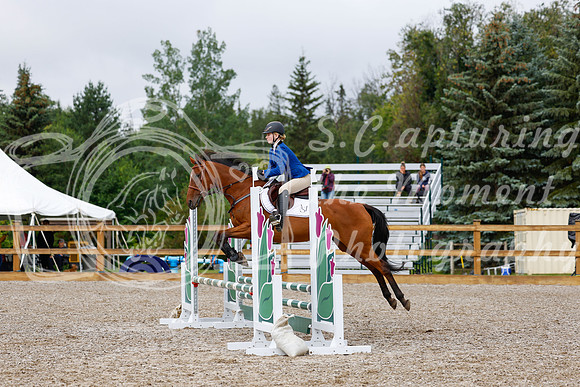 2025 - Haylee - Picco Horse Show - Sunday July 27th 01151
