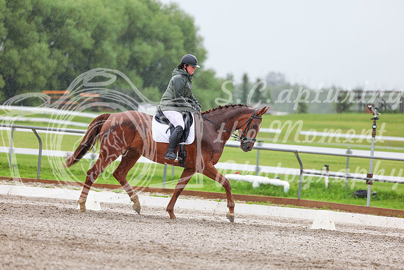 2025 - Dressage Festival - Sunday July 6th - 03592