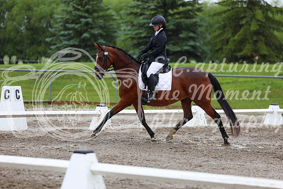 2025 - Dressage Festival - Sunday July 6th - 07819