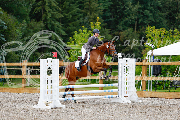 2025 - Haylee - Picco Horse Show - Sunday July 27th 01838