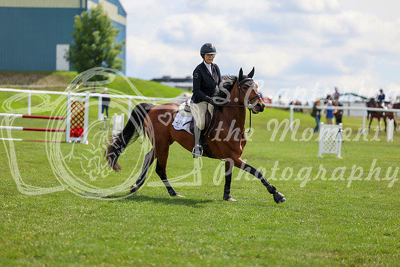 2025 - Shea - Teesdale - Friday July 25th - 05502
