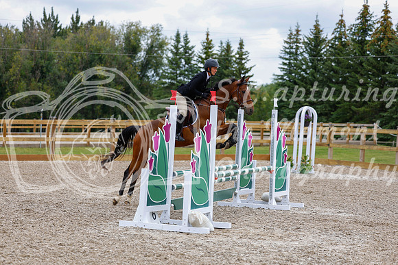 2025 - Haylee - Picco Horse Show - Saturday July 26th 04416