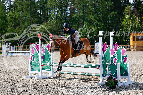 2025 - Haylee - Picco Horse Show - Thursday July 24th 01053
