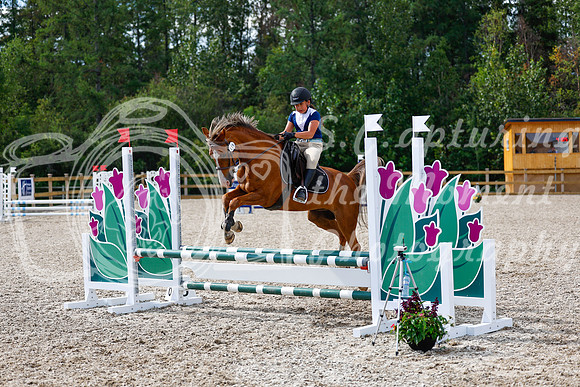 2025 - Haylee - Picco Horse Show - Thursday July 24th 01319