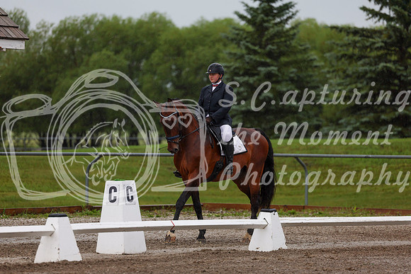2025 - Dressage Festival - Sunday July 6th - 00341