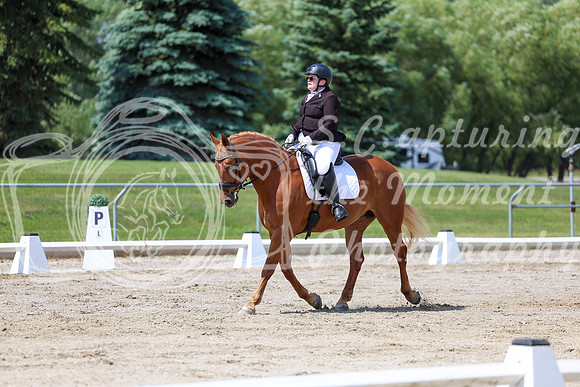2025 - Dressage Festival - Saturday July 5th - 09324