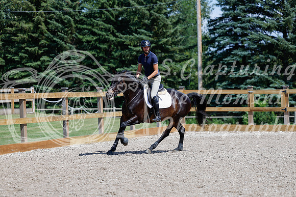 2025 - Haylee - Picco Horse Show - Thursday July 24th 04128