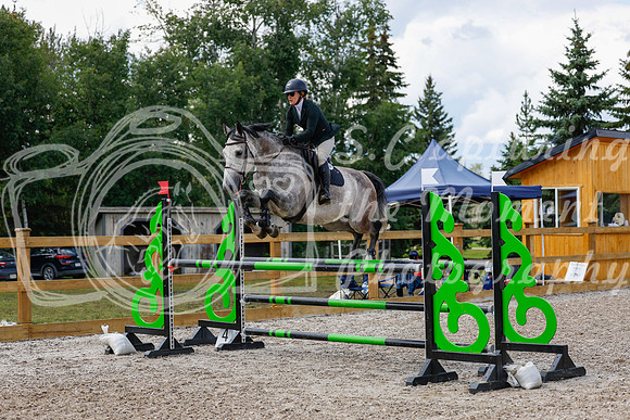 2025 - Haylee - Picco Horse Show - Sunday July 27th 05900