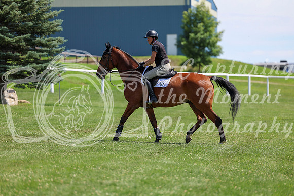 2025 - Shea - Teesdale - Thursday July 24th - 01447