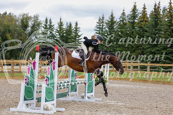 2025 - Haylee - Picco Horse Show - Saturday July 26th 04334