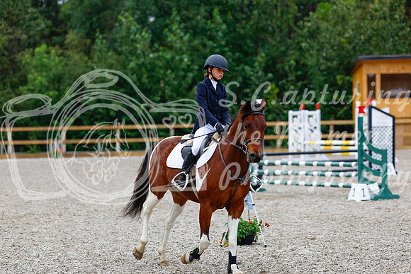 2025 - Haylee - Picco Horse Show - Sunday July 27th 01502