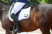 2025 - Dressage Festival - Saturday July 5th - 07481