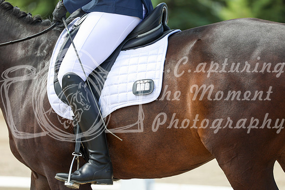 2025 - Dressage Festival - Saturday July 5th - 07481