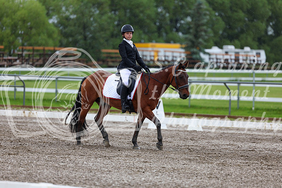 2025 - Dressage Festival - Sunday July 6th - 05561