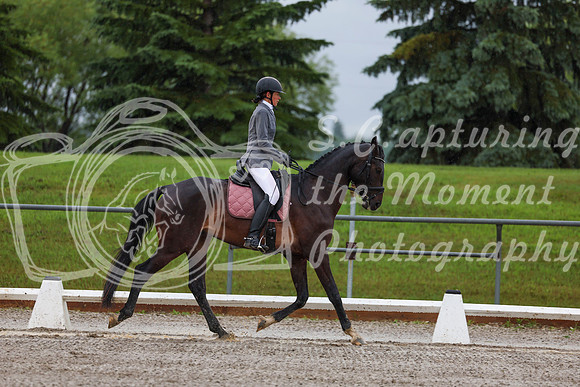 2025 - Dressage Festival - Sunday July 6th - 00716