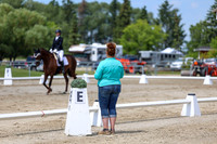 2025 - Dressage Festival - Saturday July 5th - 08471