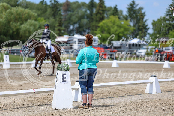 2025 - Dressage Festival - Saturday July 5th - 08471