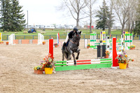 2025 - Mara - Bow Valley II - Saturday May 17th - 06951