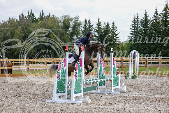 2025 - Haylee - Picco Horse Show - Saturday July 26th 03442