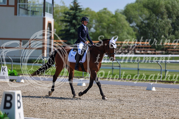 2025 - Dressage Festival - Saturday July 5th - 03974