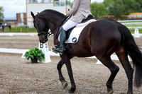 2025 - Dressage Festival - Sunday July 6th - 10387