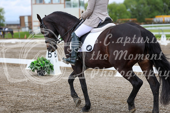 2025 - Dressage Festival - Sunday July 6th - 10387