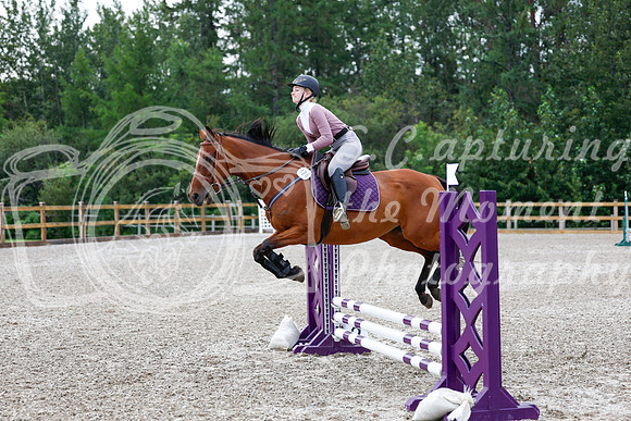 2025 - Haylee - Picco Horse Show - Saturday July 26th 00943