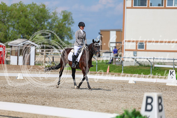 2025 - Dressage Festival - Saturday July 5th - 14541