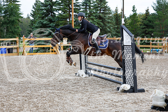 2025 - Haylee - Picco Horse Show - Saturday July 26th 00702