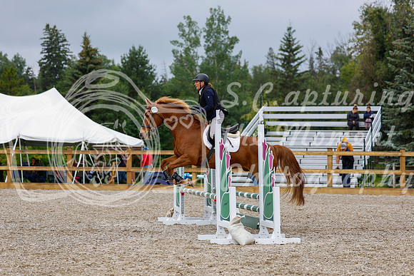 2025 - Haylee - Picco Horse Show - Sunday July 27th 01393