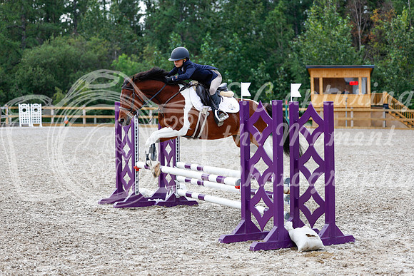 2025 - Haylee - Picco Horse Show - Saturday July 26th 01836