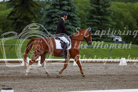 2025 - Dressage Festival - Sunday July 6th - 01358