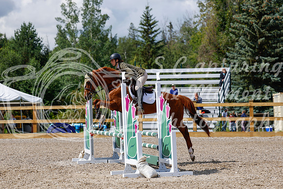 2025 - Haylee - Picco Horse Show - Sunday July 27th 03161