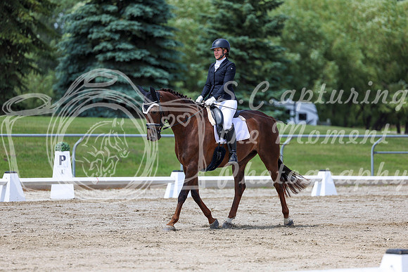2025 - Dressage Festival - Saturday July 5th - 08480