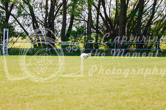 2025 - Haylee - Edmonton Classic - Friday, May 23rd - 00170