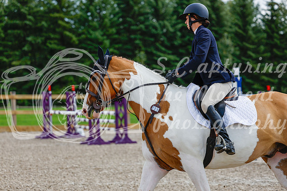 2025 - Haylee - Picco Horse Show - Sunday July 27th 04356