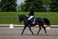 2025 - Dressage Festival - Sunday July 6th - 00019