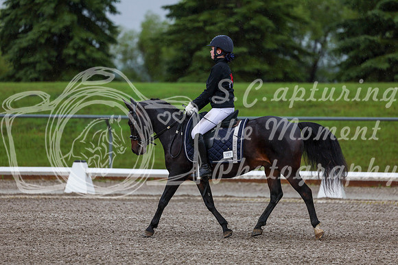 2025 - Dressage Festival - Sunday July 6th - 00019